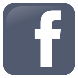 baldwin project facebook button