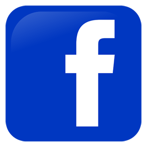 facebook button